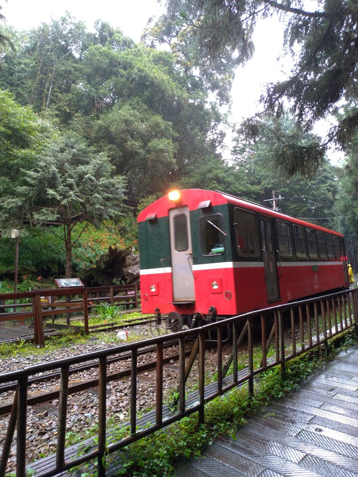 Taiwan 阿里山