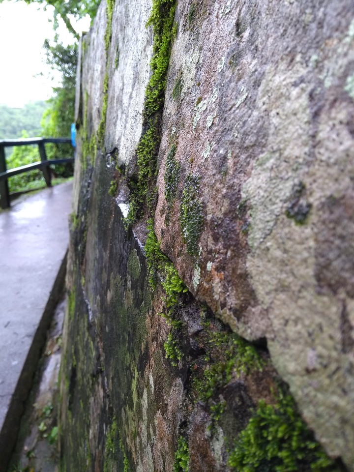 Stone wall with moss