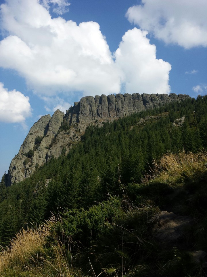 mountains