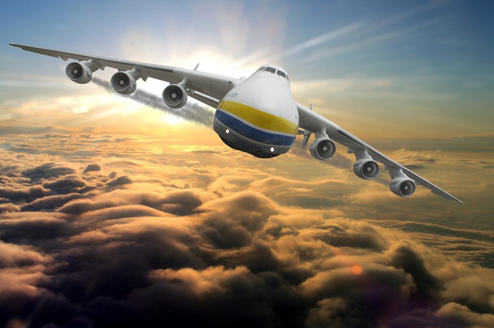 The biggest Bird in Sky