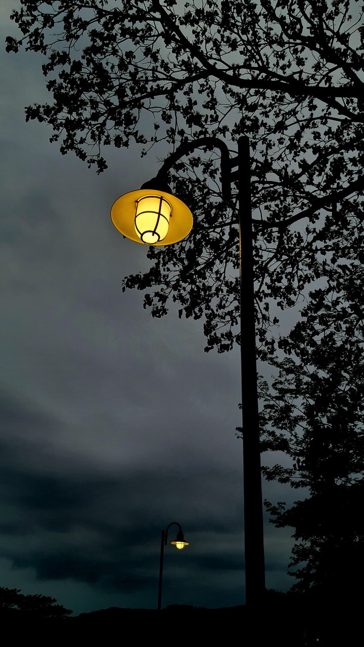lampost