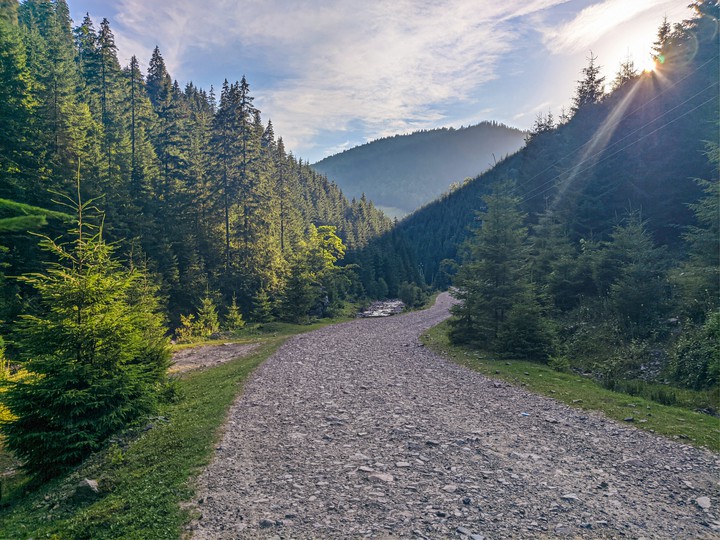 Carpathian,  Ukraine