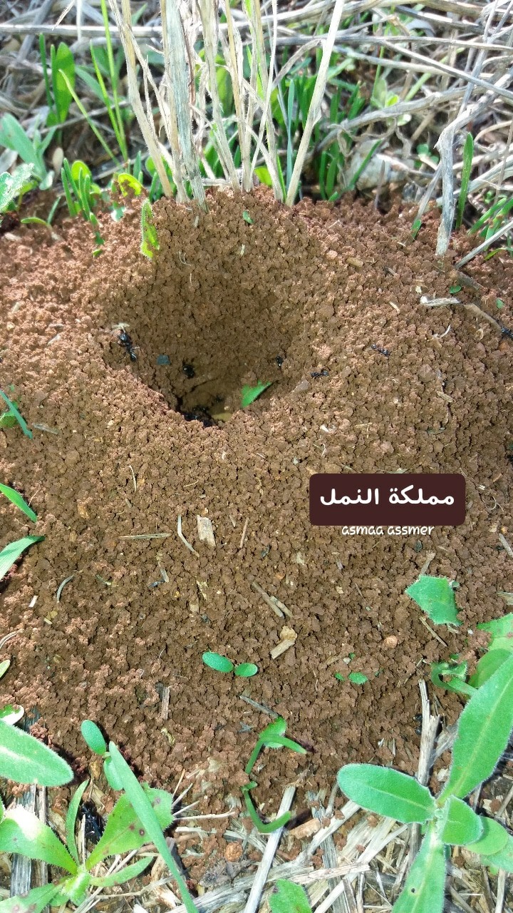 ?