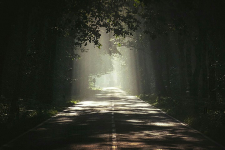 thats light and light points the way...
