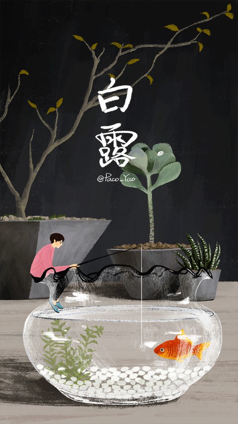 flowerpot, plant achtergronden