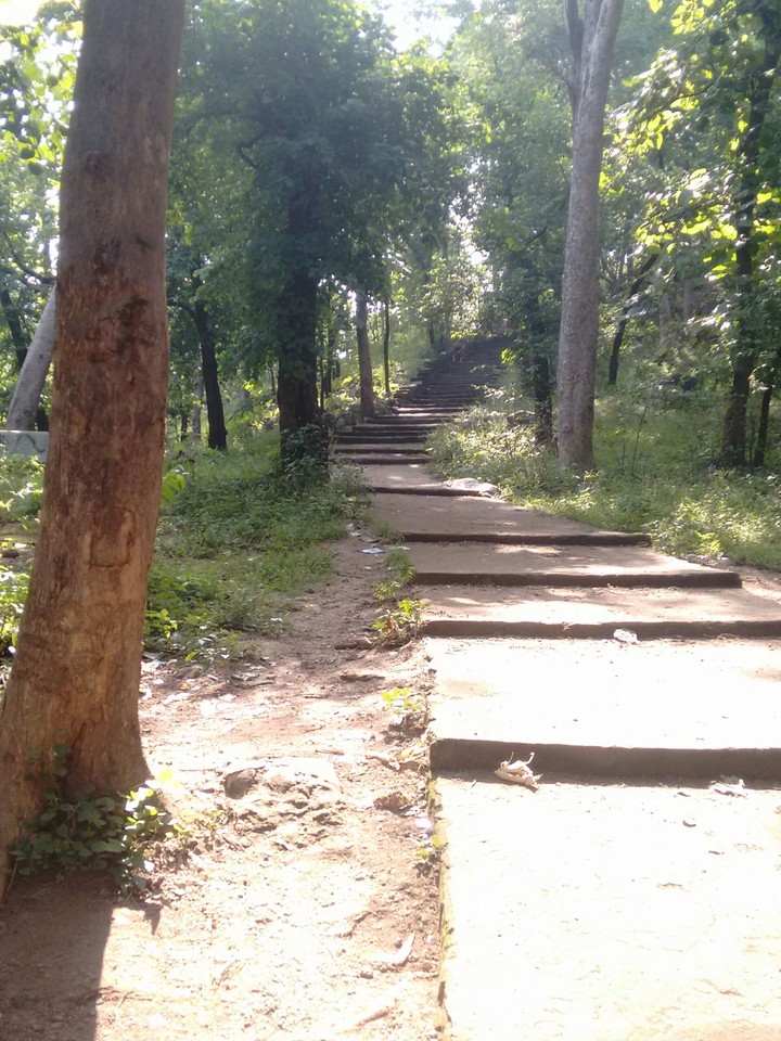 steps