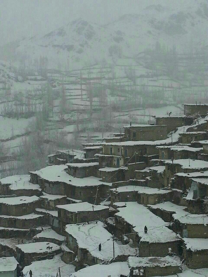 White wheather