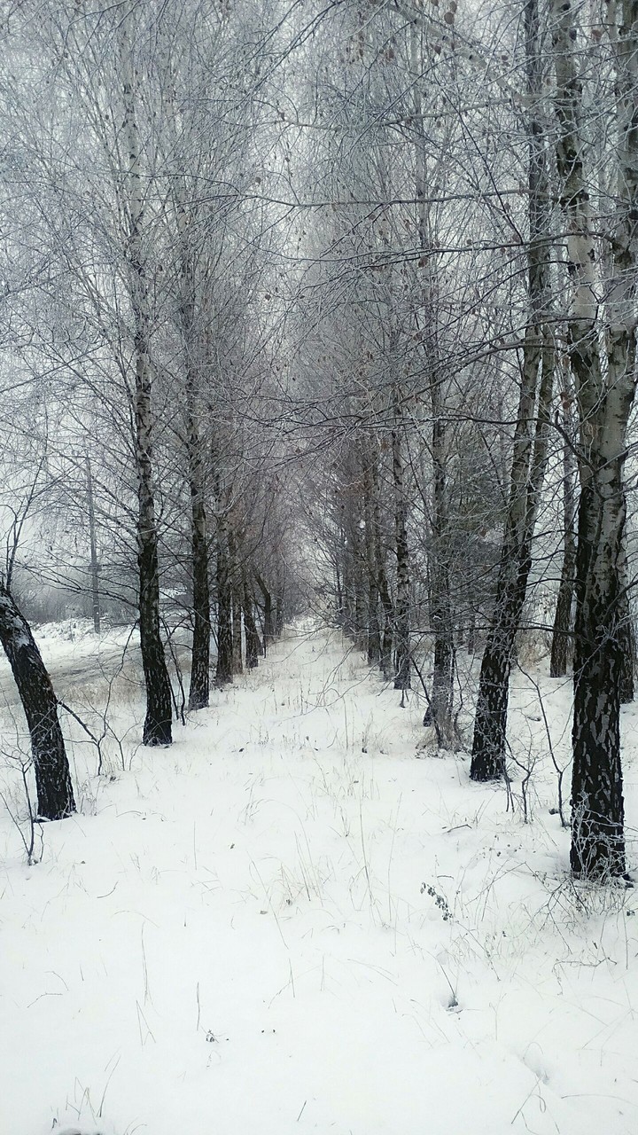 wonderful winter morning