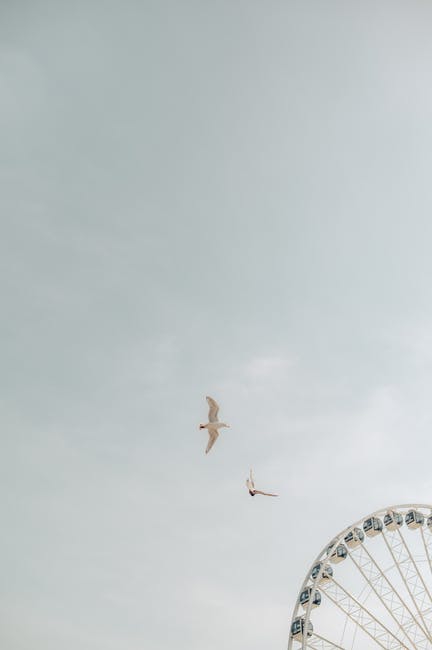 birds