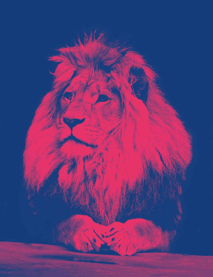 LiON HDR