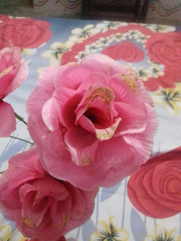lovely rose