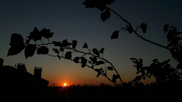sunset