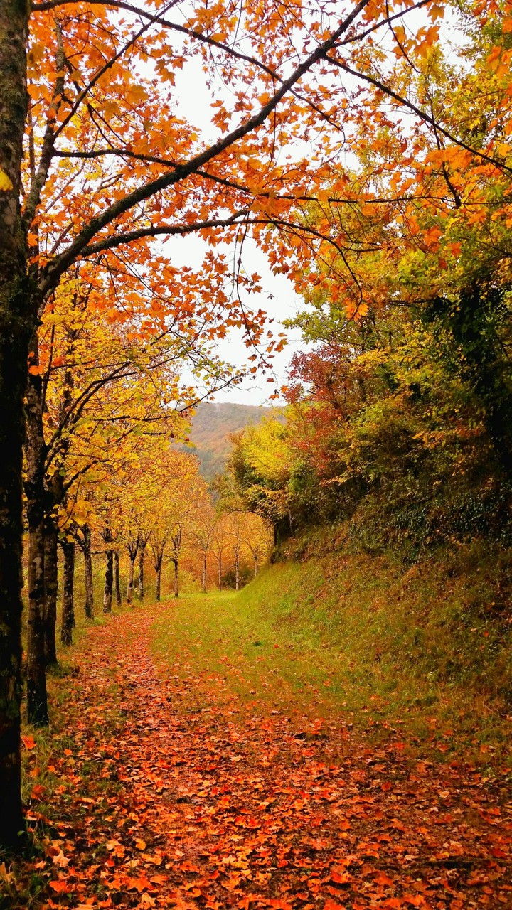 Autumn