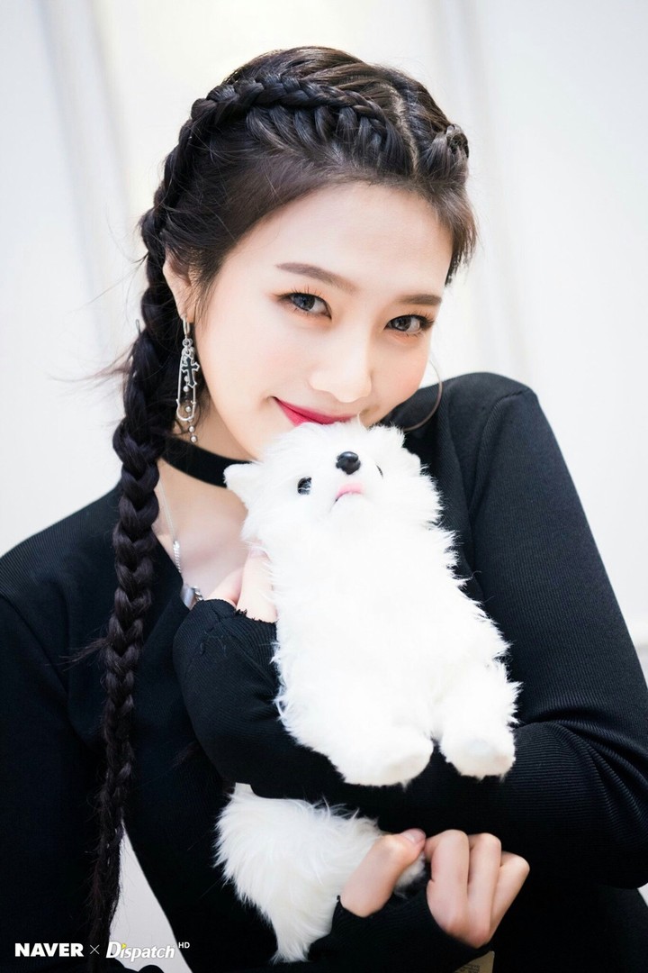 조이 미모리즈갱신