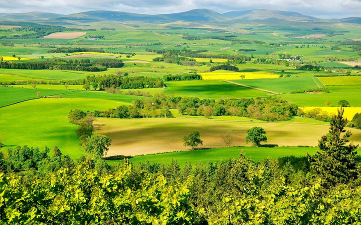 Unglaubliche Landschaft, grün so weit das Auge reicht