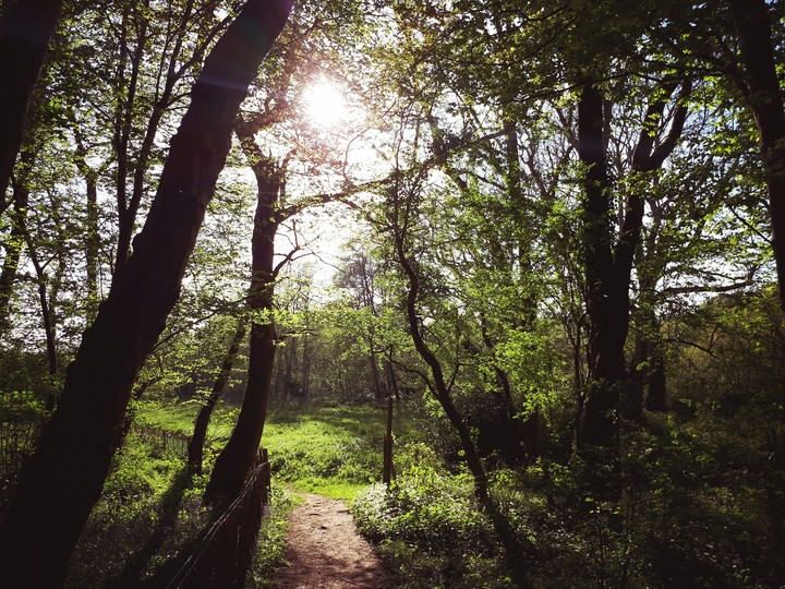Follow the path