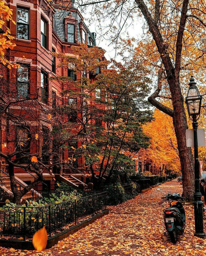 Boston