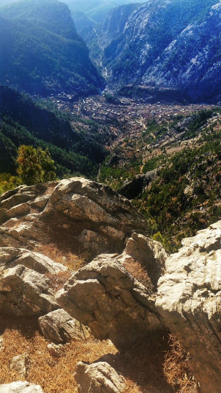 in the nature.