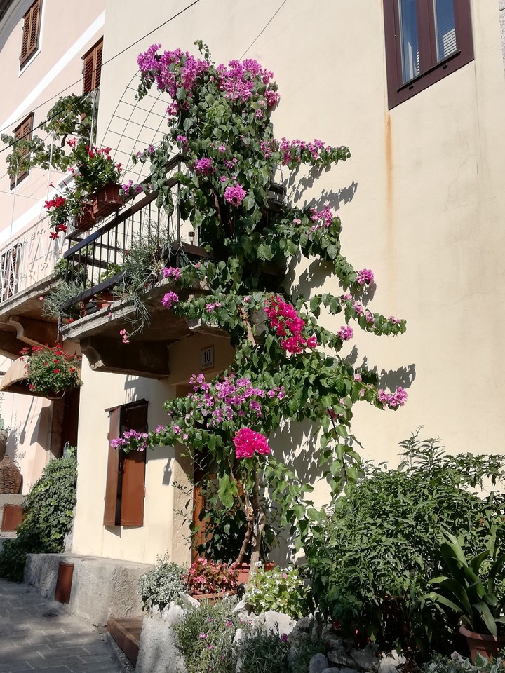 Vrbnik, Krk