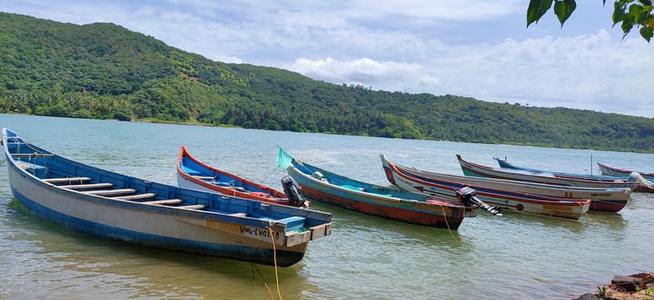 boats