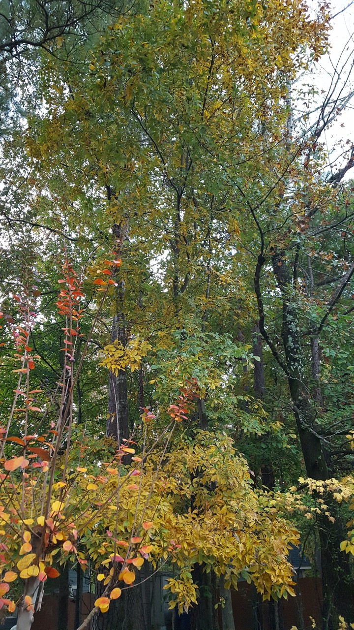 fall approaches