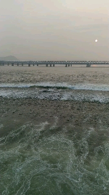 water alive