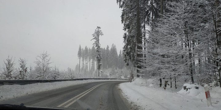 zima