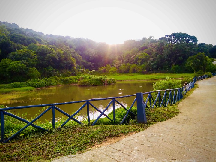 scenery