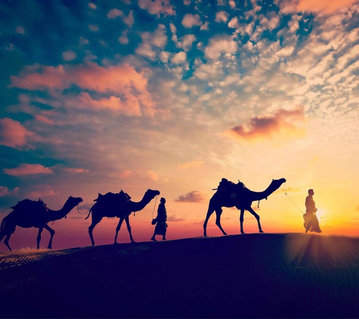 Desert
