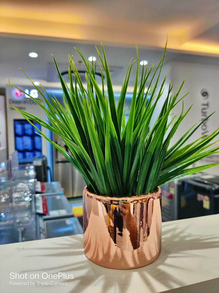 bright and green