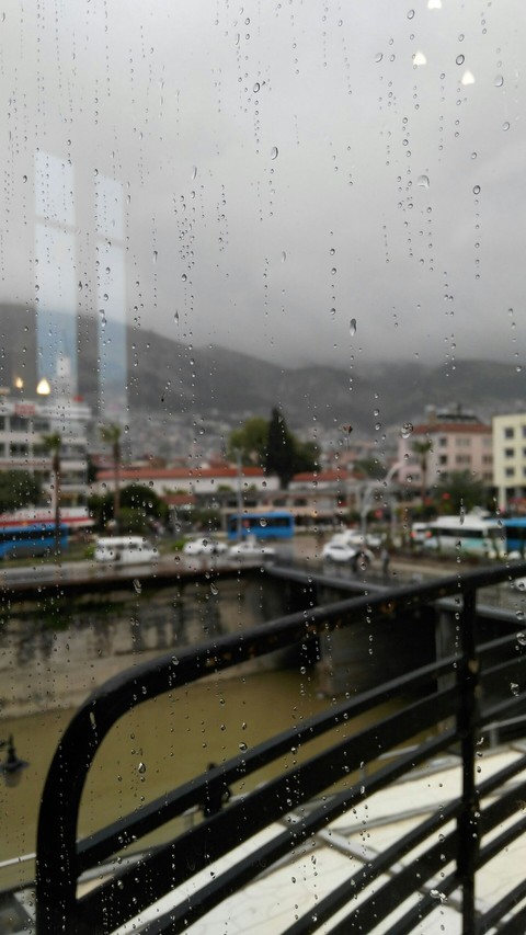 Raindrops