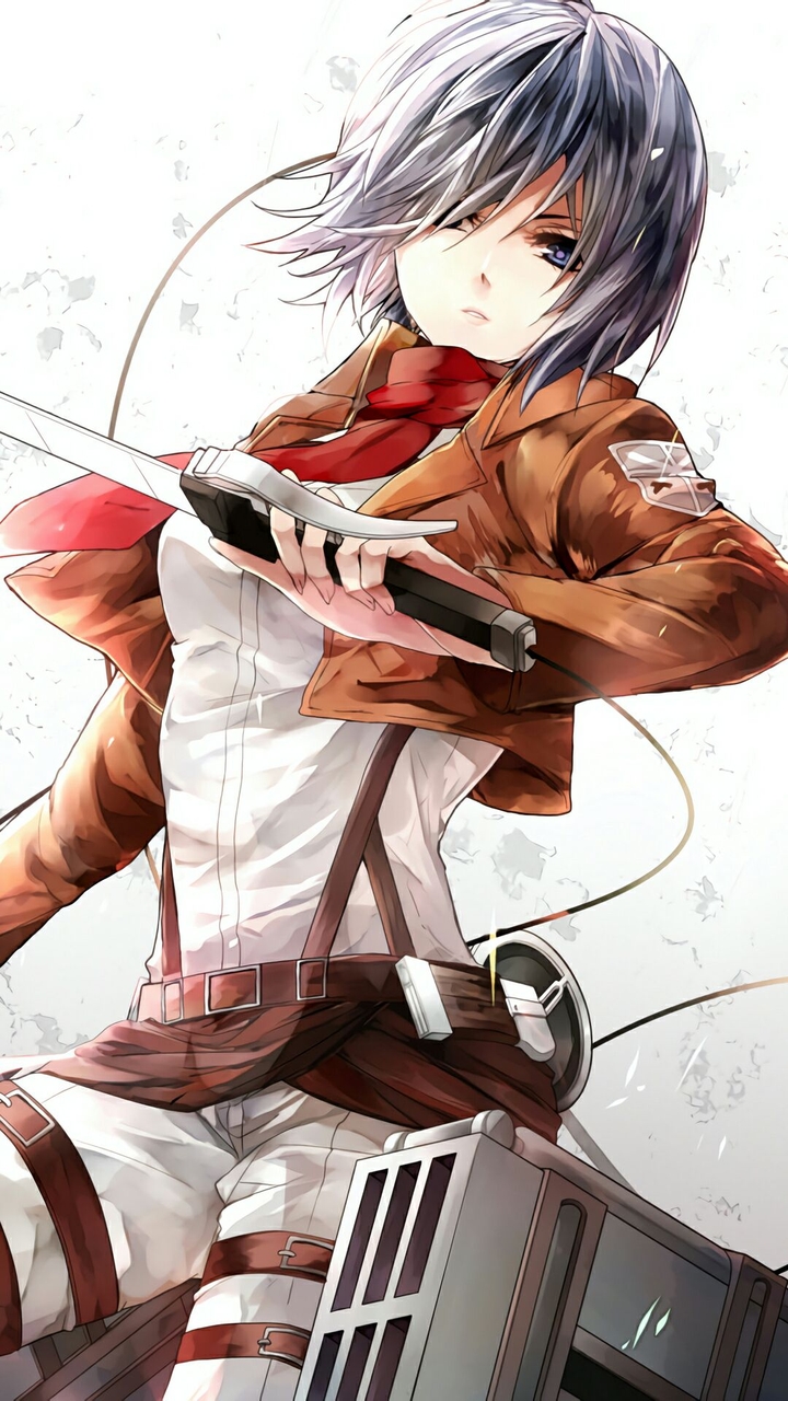 mikasa