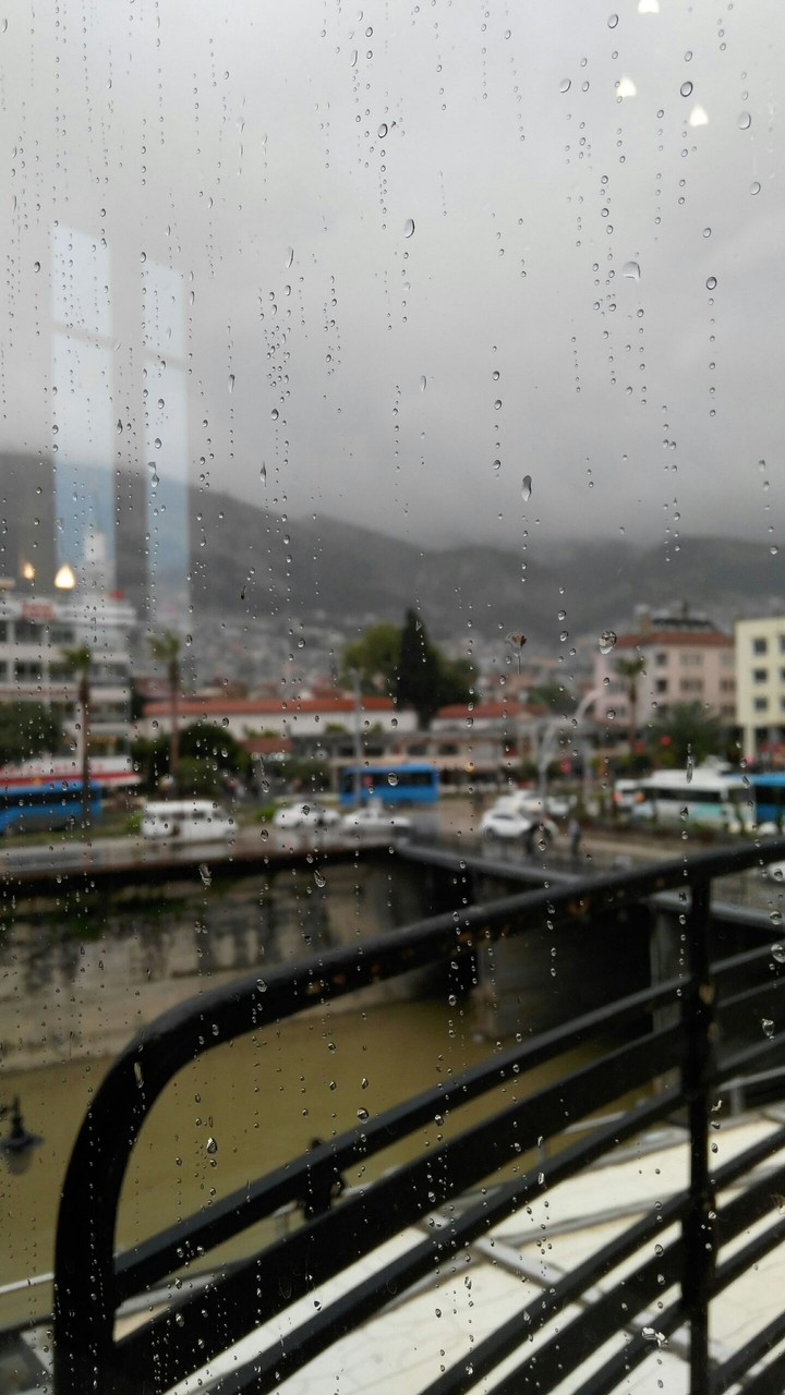 Raindrops