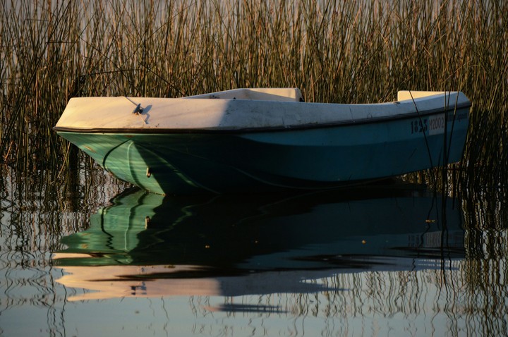 Bote, 