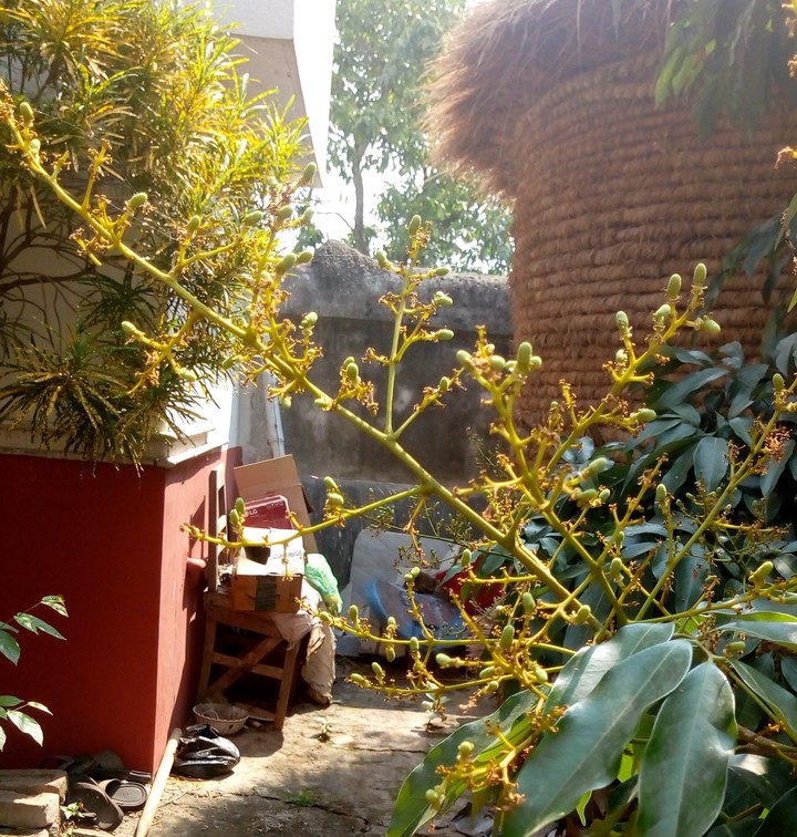 original click