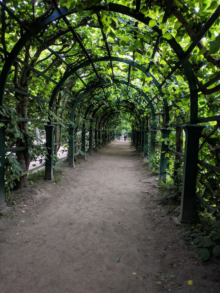 Peterhof