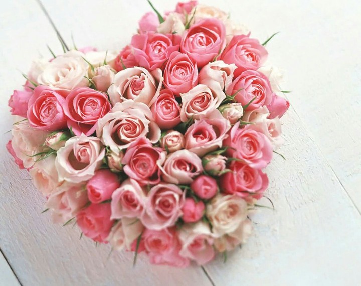 Love rose