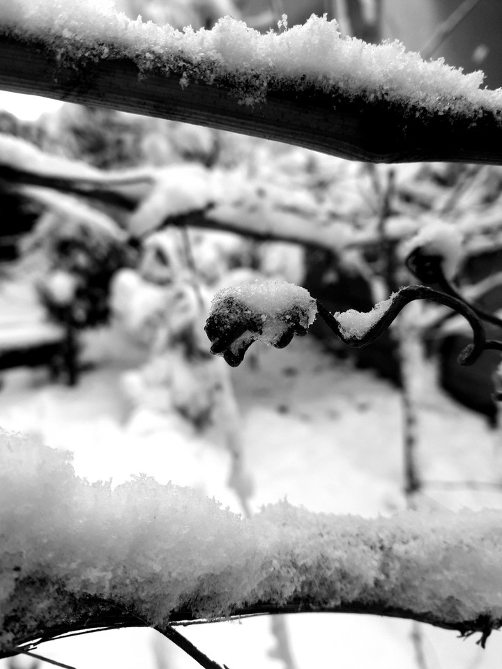 snow