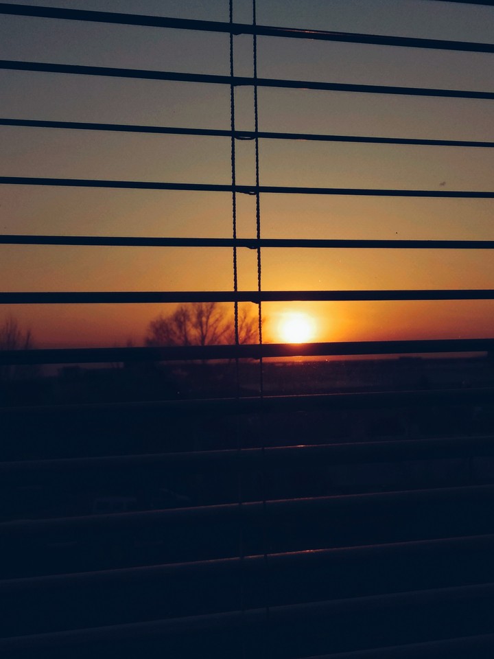 window