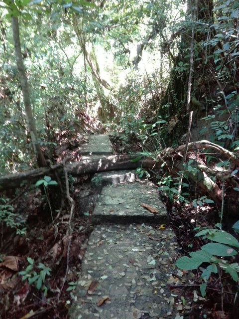 Walkway, Kathu Waterfalls, Phuket Thailand