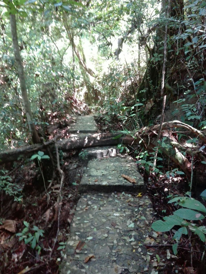 Walkway, Kathu Waterfalls, Phuket Thailand