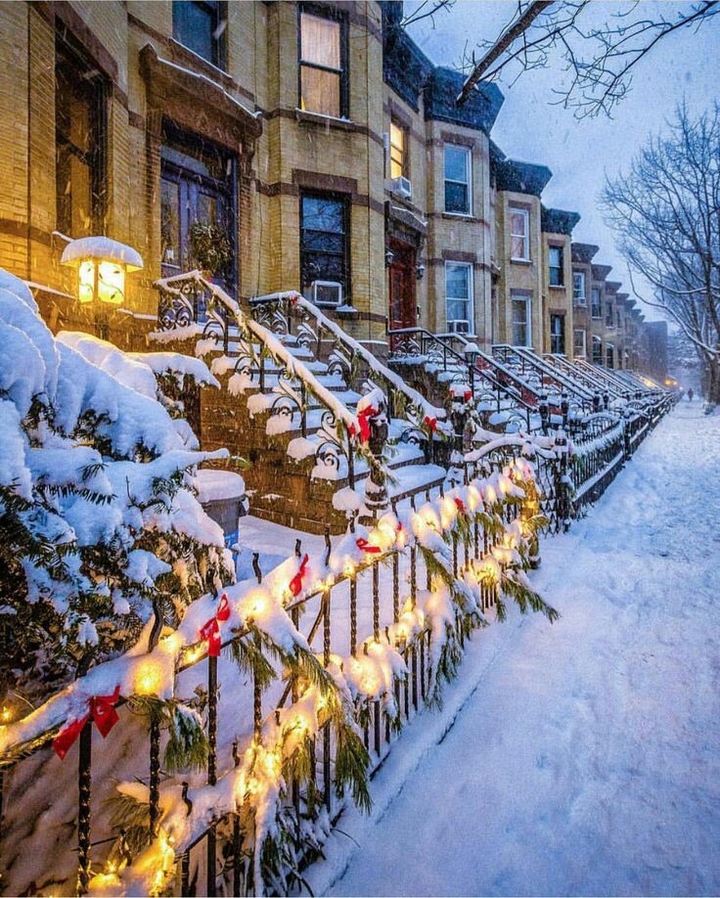 snow ladders