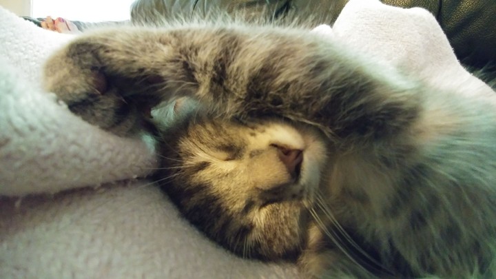 funny sleeper