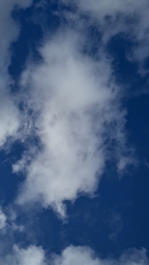 moviment sky