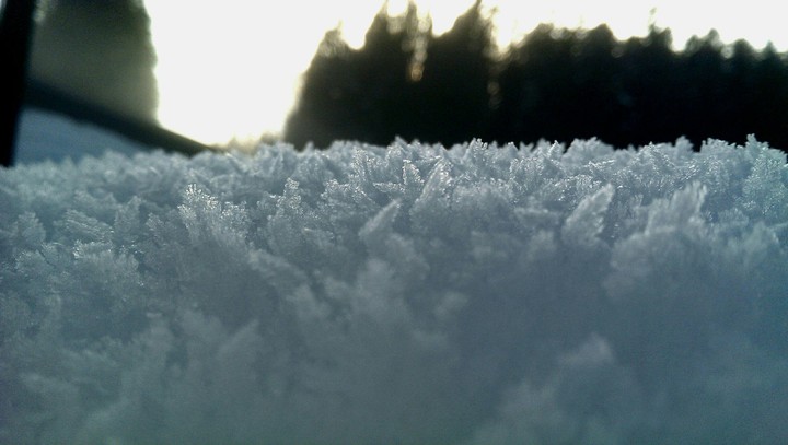 Ice Ice Baby