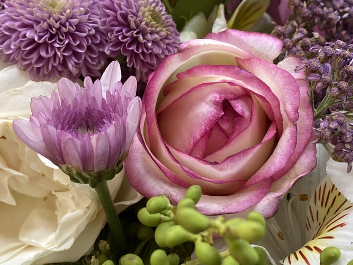 Flower