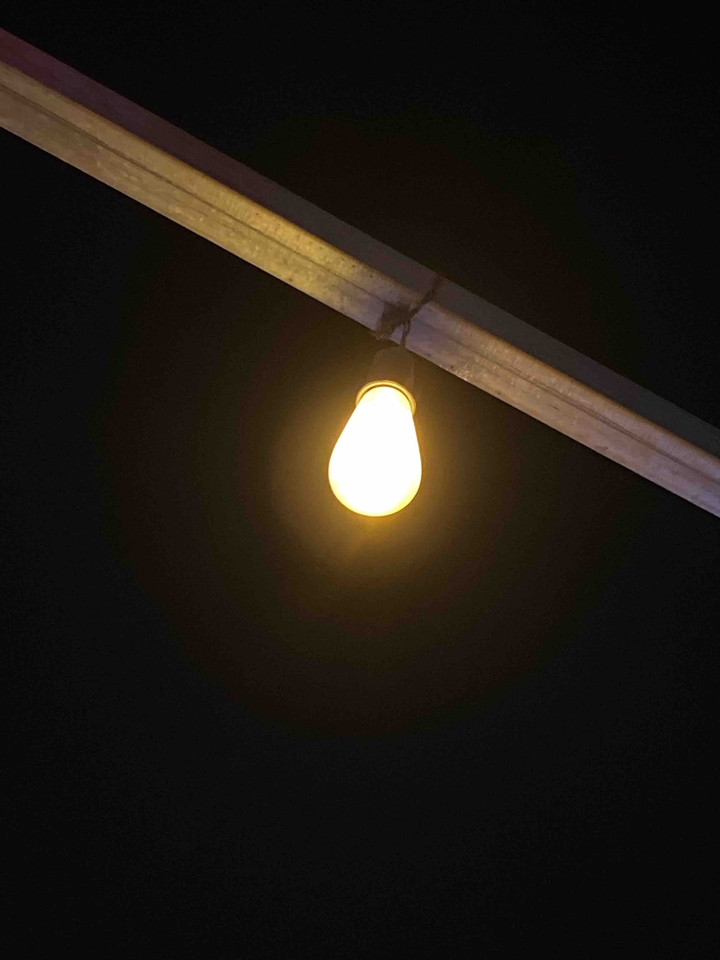 Bulb
