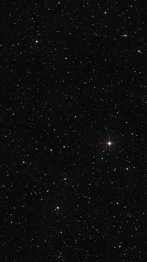 Stars