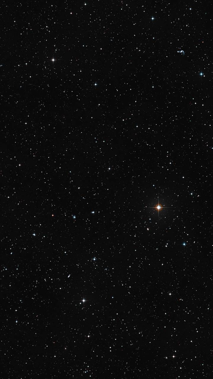 Stars