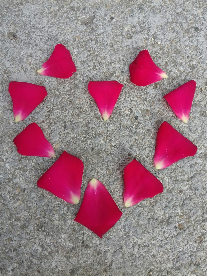 petal heart